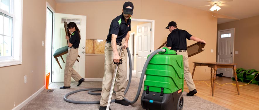 Harrison, AR cleaning services
