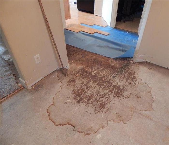 A large wet spot on subfloor that extends beyond the wall.