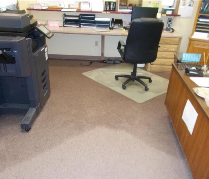 An office setting with a large wet portion of carpeting and a small portion of dry carpeting in the foreground.