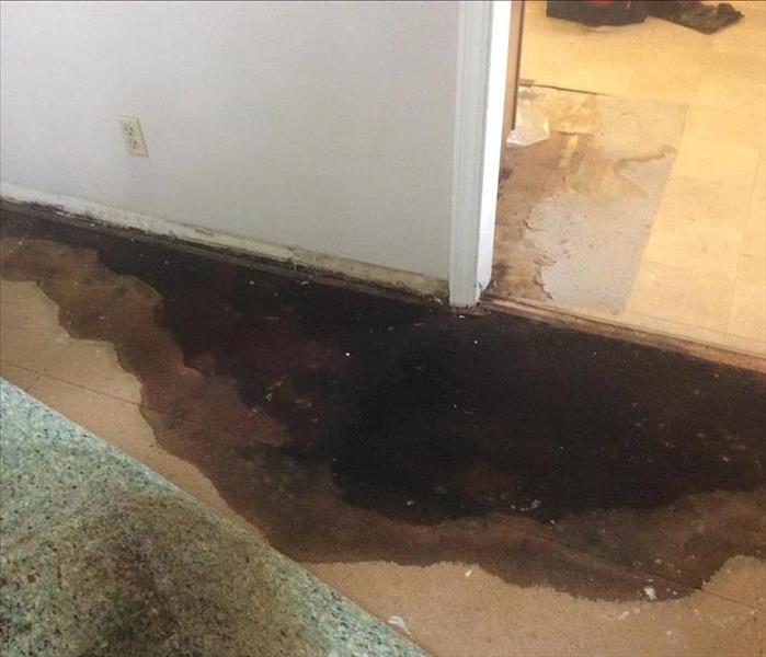 Carpeting has been pulled back to reveal a very large, black moldy water spot on the subfloor.