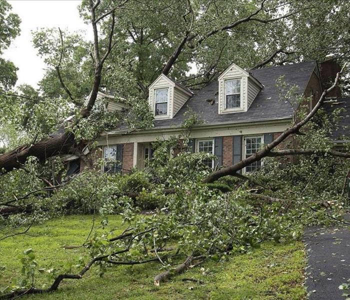 Fallen trees lay around and on a brick house which has a dipping roof and broken window from the tree on it.