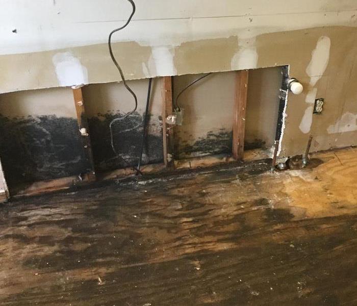 The back side of a wall is exposed after demolition and shows half the wall covered in mold and dark spots of water damage.