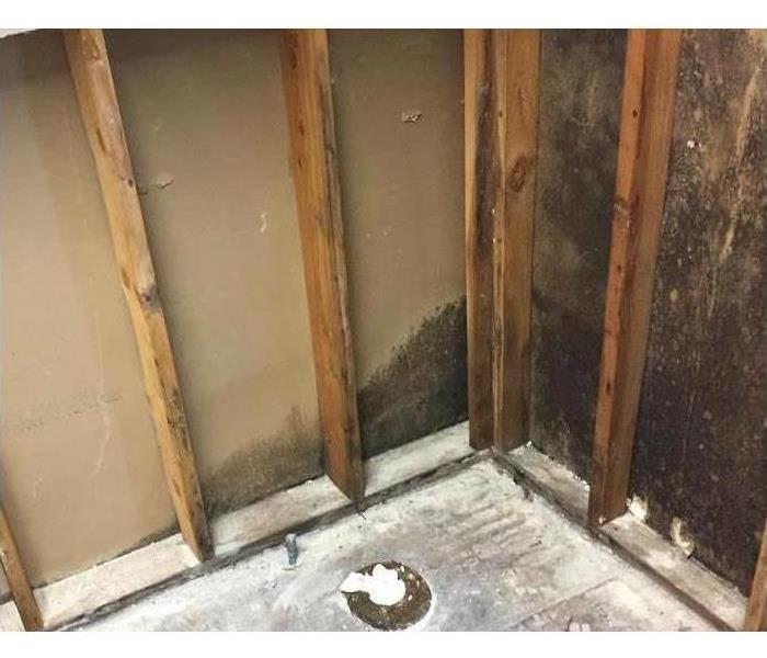 Dark colored mold found growing inside a wall, now exposed after controlled demolition.